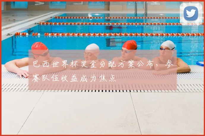 巴西世界杯奖金分配方案公布,参赛队伍收益成为焦点