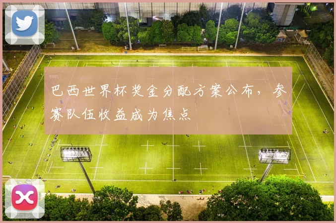 巴西世界杯奖金分配方案公布,参赛队伍收益成为焦点